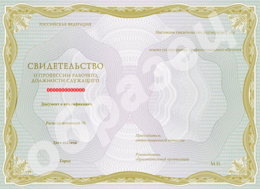 Образец свидетельства печника на курсах karelin-kamin.ru